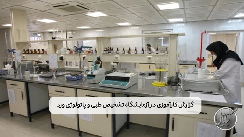 گزارش کارآموزی در آزمایشگاه تشخیص طبی و پاتولوژی ورد