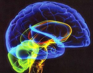 چگونه ظرفیت استفاده از مغزمان را بالا ببریم؟