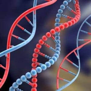 نمونه سوالات امتحانی درس ژنتیک ۱ استاد مریم رحیمی رشته میکروبیولوژی